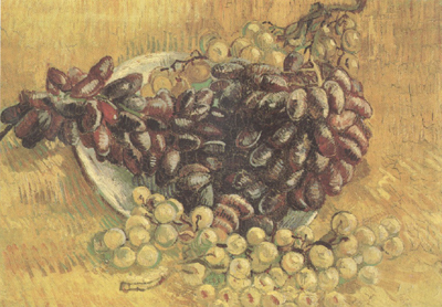 Still life wtih Grapes (nn04)